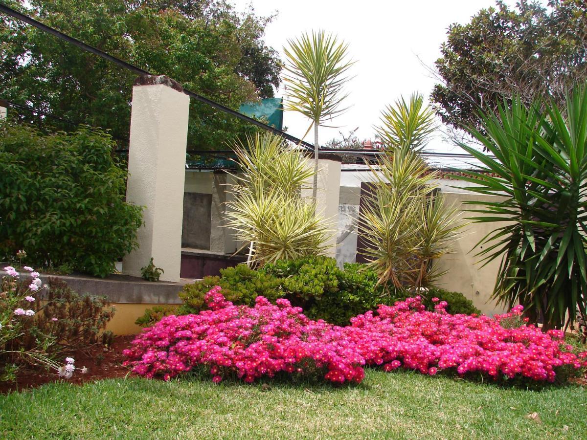 Private Pool Apt. With Great View Funchal  Exterior photo
