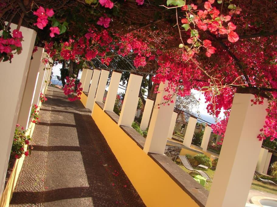 Private Pool Apt. With Great View Funchal  Exterior photo